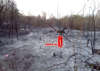 Arde Valladolid; incendios por doquier