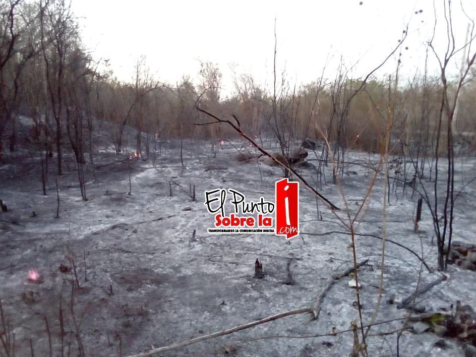 Arde Valladolid; incendios por doquier