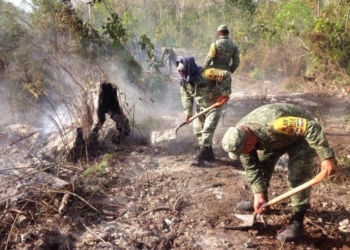 Lluvias ayudaran a sofocar los incendios en Quintana Roo