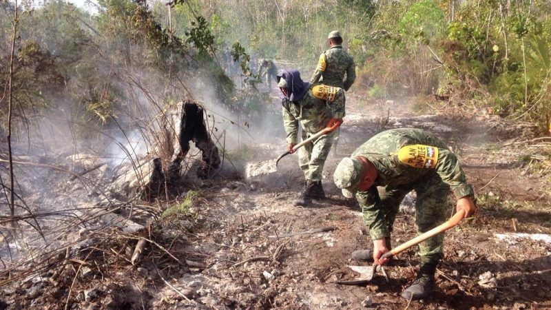Lluvias ayudaran a sofocar los incendios en Quintana Roo