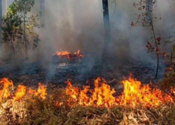 Los municipios de Quintana Roo más afectados hasta el momento son Othón P. Blanco y Bacalar