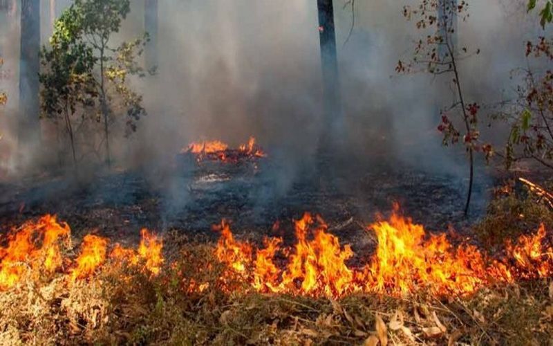 Los municipios de Quintana Roo más afectados hasta el momento son Othón P. Blanco y Bacalar