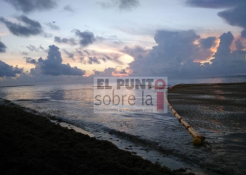 Implementa Gobierno del Estado el Protocolo Emergente para la Atención del Sargazo de Quintana Roo