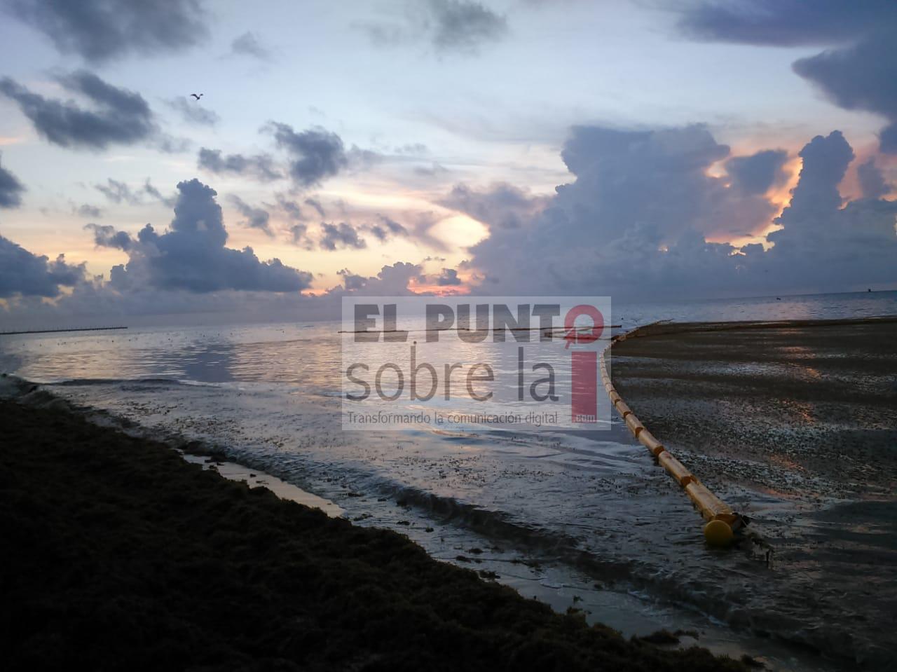 Implementa Gobierno del Estado el Protocolo Emergente para la Atención del Sargazo de Quintana Roo