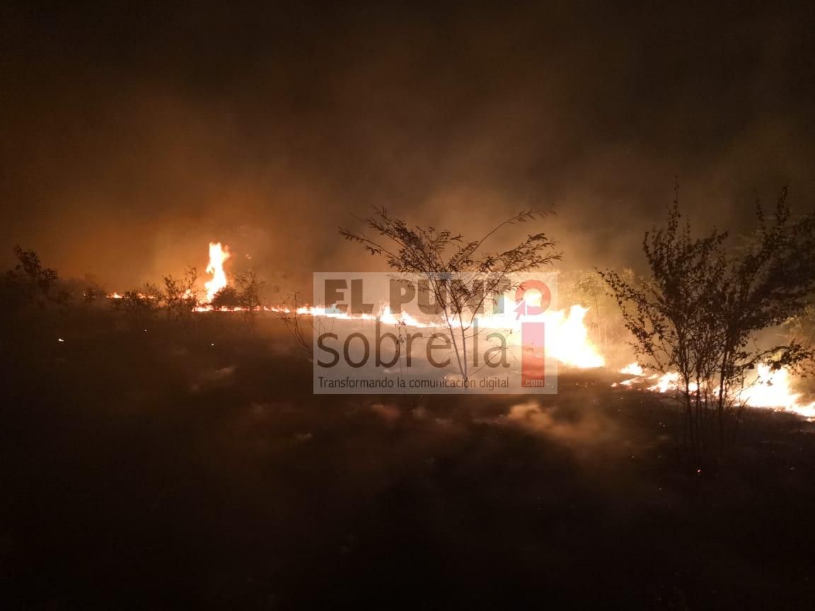 Incendio de grandes proporciones estuvo a punto de propagarse en una zona habitacional