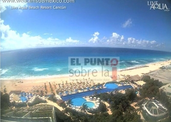 Reporte semanal de las playas del Caribe Mexicano sin sargazo