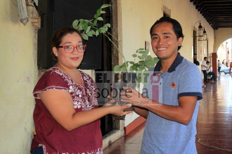 Garantizarán una reforestación productiva en el municipio