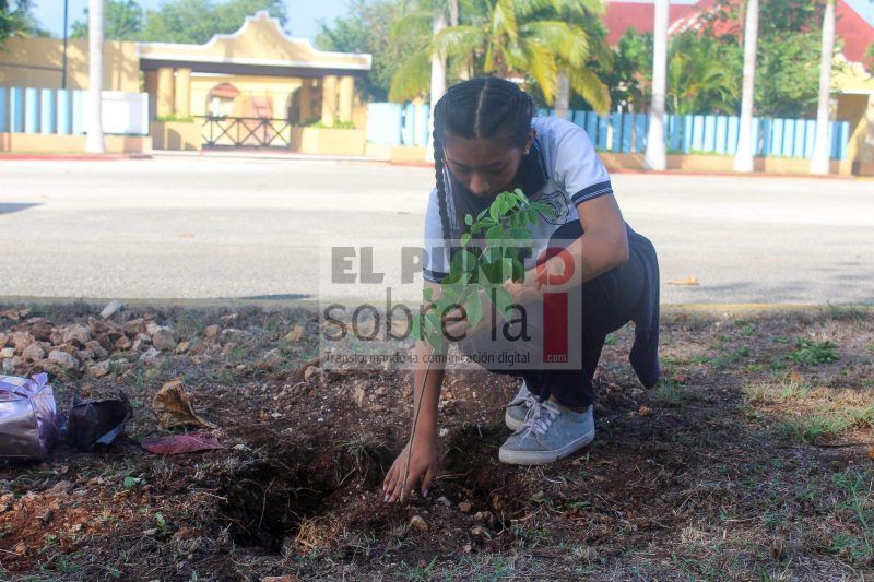 Por el ambiente, por una imagen viva y fresca de la Avenida de los Frailes