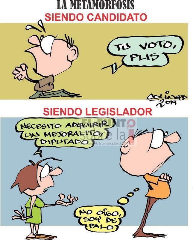 COLINAS: La metamorfosis