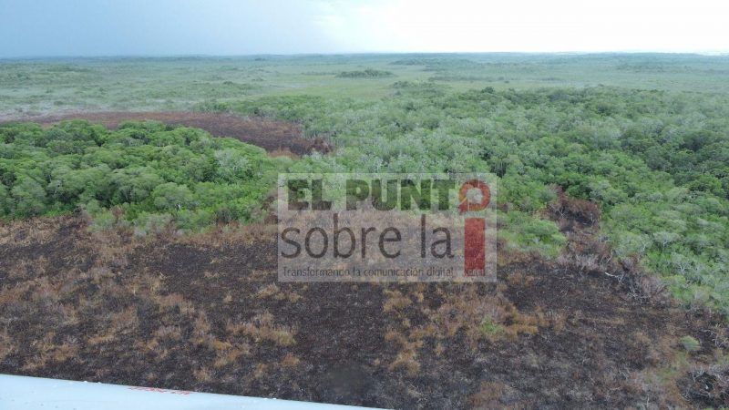 Pudieron haber sido más