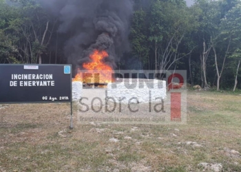 La SEDENA y la F.G.R., llevó a cabo la incineración de cocaína
