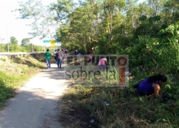 Fin de semana de campaña de reforestación