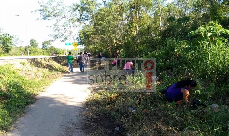 Fin de semana de campaña de reforestación