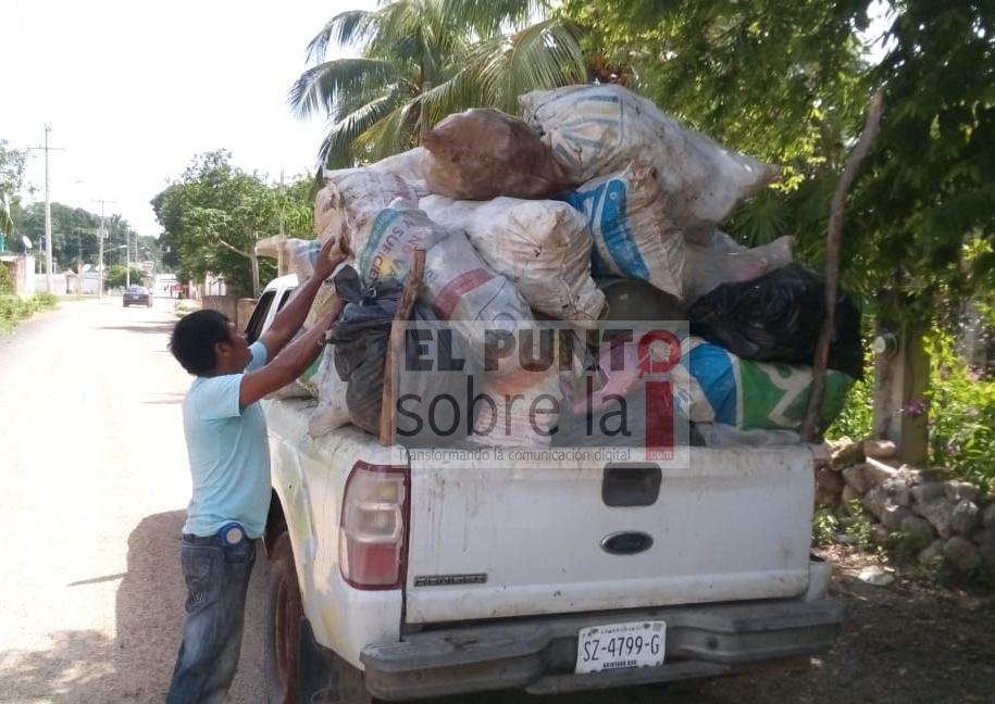 Intensifican combate al mosquito en Jose Maria Morelos