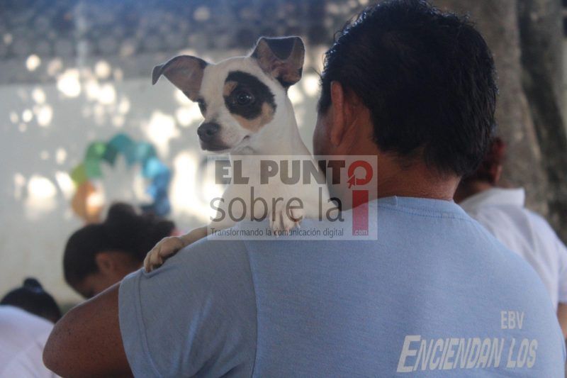 Dan muestra del cariño y responsabilidad hacia los animales