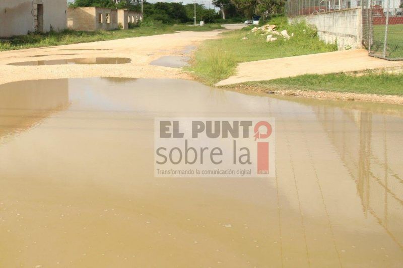 Sin salida el zancudo; un gran equipo listo para combatirlo