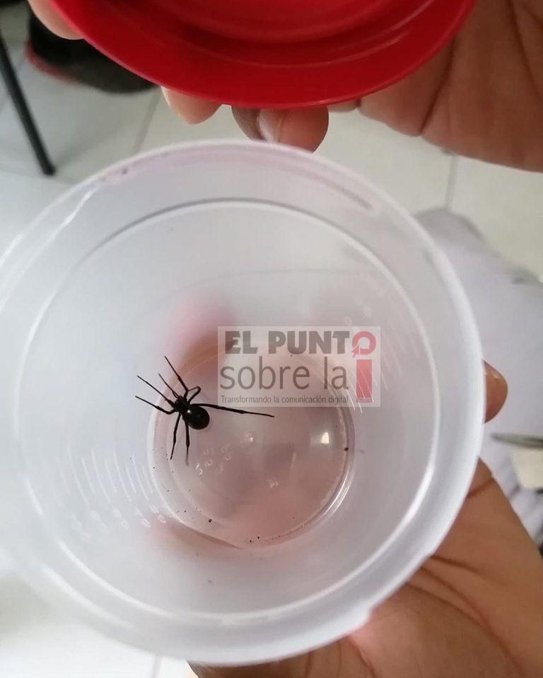 Llamado a tomar precauciones