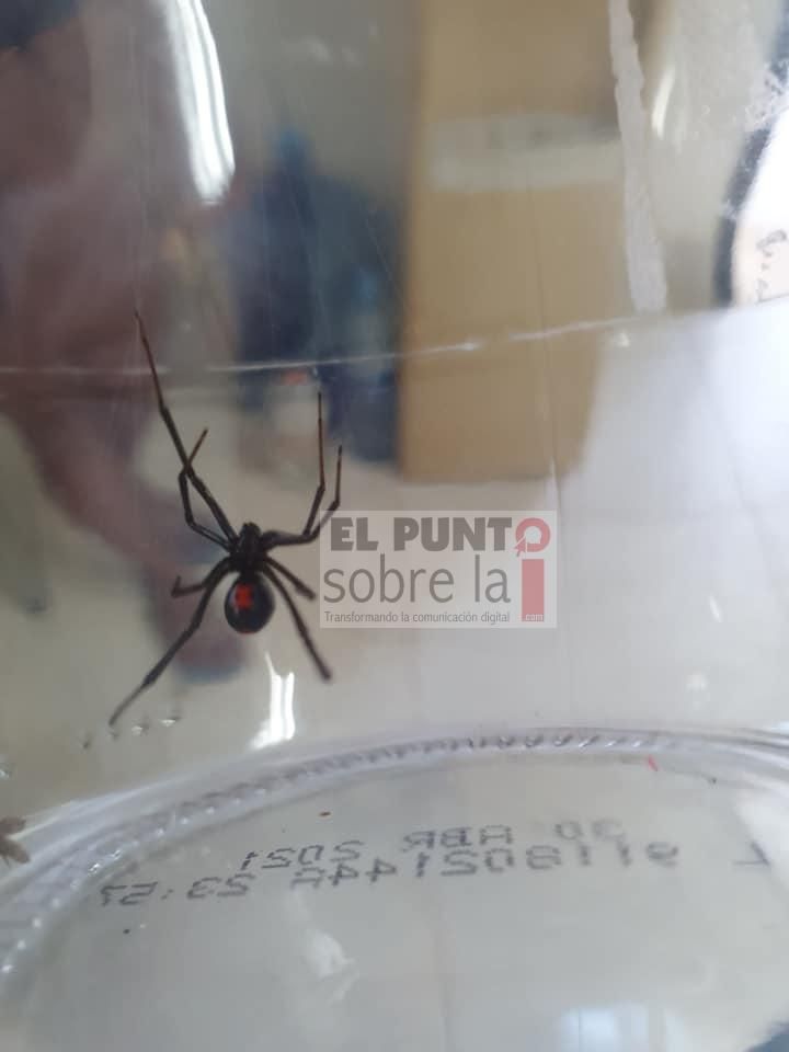 Peligro latente en el oriente