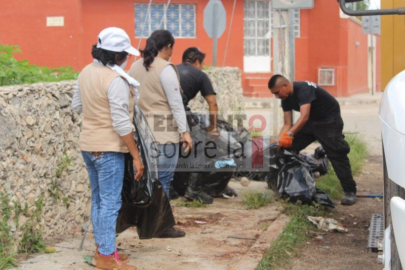 Televisores inservibles y hasta animales muertos