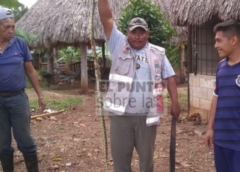 Solo fue un susto
