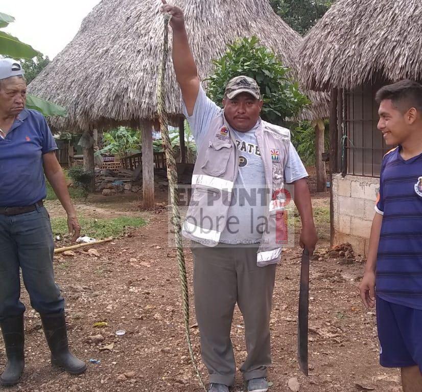 Solo fue un susto