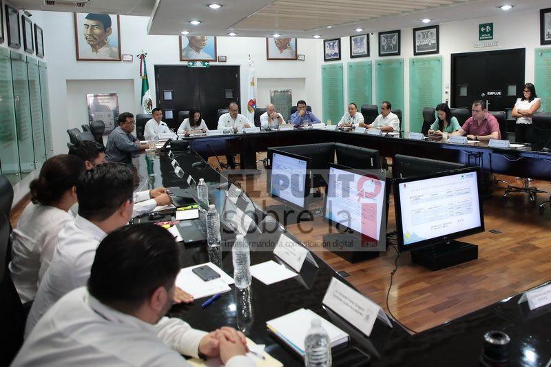 Coinciden legisladores en que Tren Maya debe respetar el medio ambiente