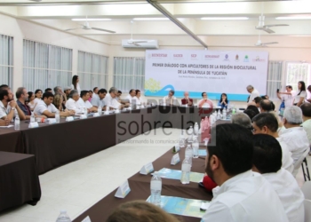 Jóvenes agrónomos y apicultores egresados dieron una explicación enfocado a la meliponicultura