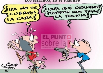 COLINAS: Los rateros, en su paraíso