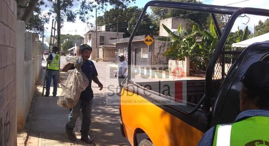 PC retira abejas africanas en distintos puntos de la ciudad
