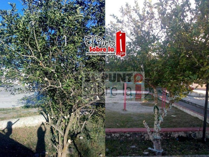 Vandalismo navideño en Valladolid