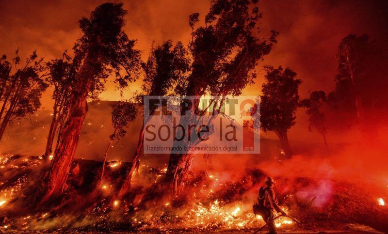 100 segundos para el juicio final ¿Qué podemos hacer en Quintana Roo?