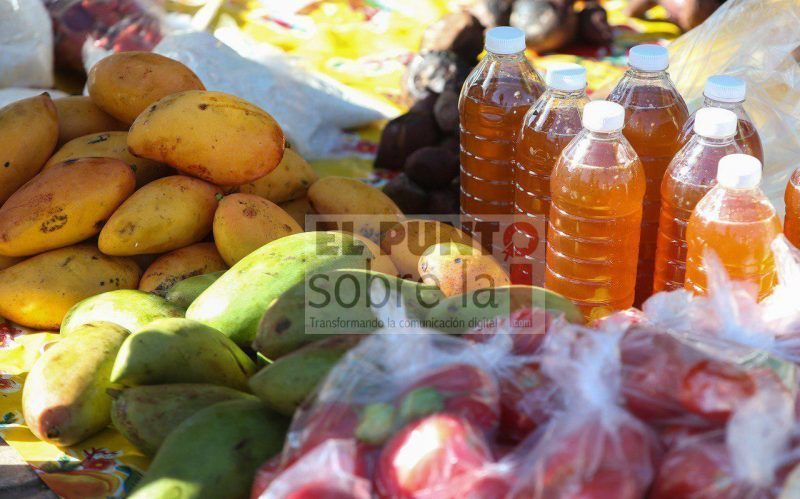 Juega Campo Portomorelense Rol Estratégico En La Diversificación Económica Local: Laura Fernández