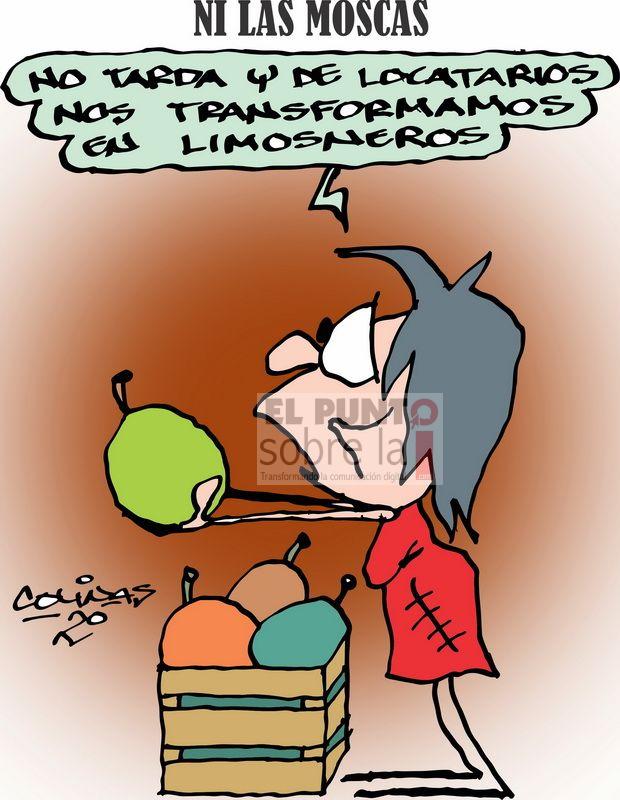 COLINAS: Ni las moscas