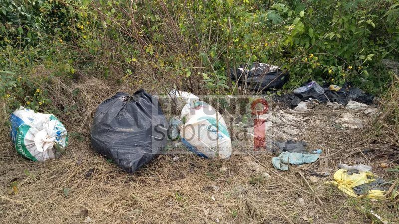 Continúan tirando basura en terrenos ejidales