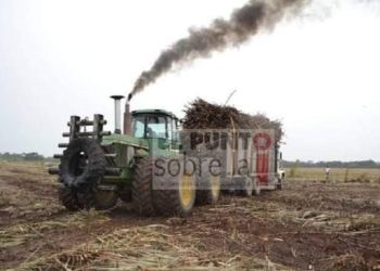 Anuncian Productores De Caña Bloqueo Carretero  En Kilómetro 19