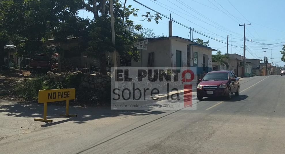 Escapan abejas africanas e invaden casas en JMM