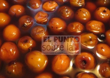 Dulce De Nance