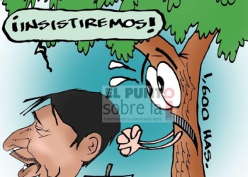 COLINAS: Hay gato encerrado