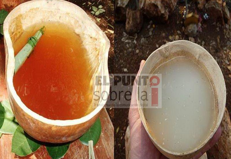 Las bebidas sagradas entre los mayas: balché y saká