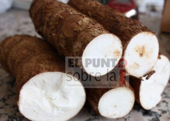 La yuca: deliciosa, nutritiva y medicinal