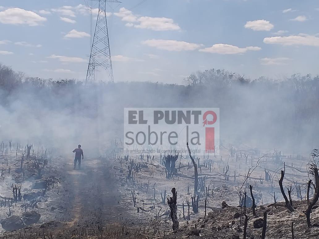 Por si no bastara con el COVID-19