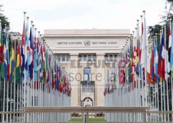 Experta de la ONU: Los estados deben tomar medidas contra las expresiones de xenofobia relacionadas con el COVID-19