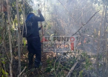 Cazadores furtivos, la principal causa de incendios forestales en la temporada 2020: Adrián Martínez Ortega
