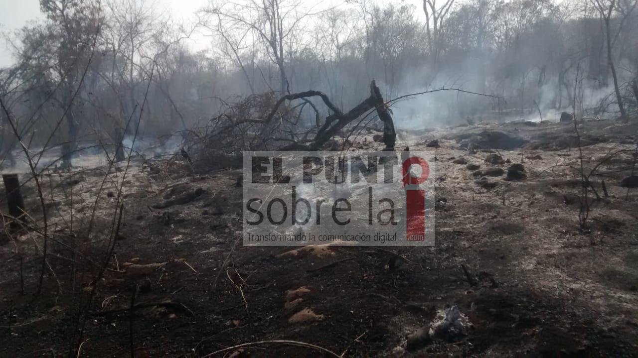 Sequía y falta de lluvias disparan incendios