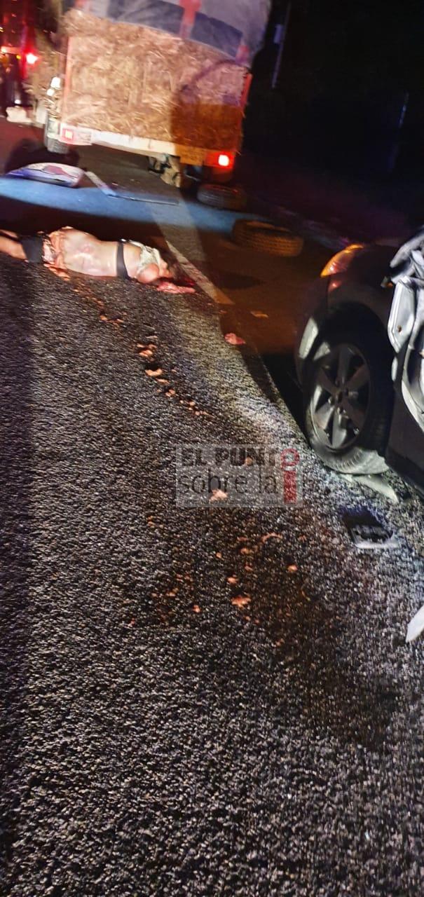 Murió brutalmente atropellada
