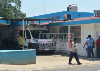 Muere por picaduras de abejas