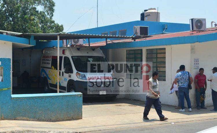 Muere por picaduras de abejas
