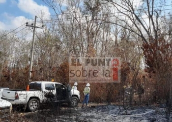 CFE cambia postes dañados por incendio