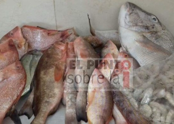 La pandemia no afecta en la venta de mariscos en la zona maya