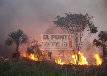 Frenan incendio que amenazaba comunidad en Bacalar
